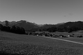 L1001588 - Bernhard Saalfeld