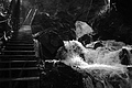 L1001596 - Bernhard Saalfeld