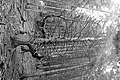 L1001600 - Bernhard Saalfeld