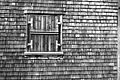 L1001604 - Bernhard Saalfeld