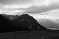 L1001617 - Bernhard Saalfeld