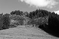 L1001623 - Bernhard Saalfeld