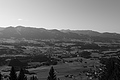 L1001624 - Bernhard Saalfeld