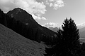 L1001627 - Bernhard Saalfeld