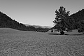 L1001632 - Bernhard Saalfeld