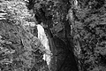 L1001635 - Bernhard Saalfeld