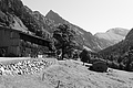 L1001638 - Bernhard Saalfeld
