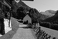 L1001642 - Bernhard Saalfeld