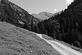 L1001654 - Bernhard Saalfeld