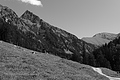 L1001655 - Bernhard Saalfeld
