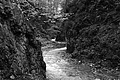 L1001664 - Bernhard Saalfeld