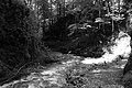 L1001666 - Bernhard Saalfeld