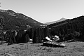 L1001674 - Bernhard Saalfeld