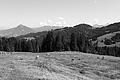 L1001690 - Bernhard Saalfeld