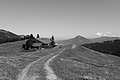 L1001692 - Bernhard Saalfeld