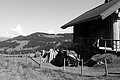 L1001695 - Bernhard Saalfeld