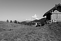 L1001696 - Bernhard Saalfeld
