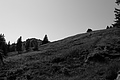 L1001697 - Bernhard Saalfeld