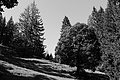 L1001698 - Bernhard Saalfeld