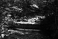 L1001699 - Bernhard Saalfeld
