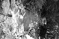 L1001700 - Bernhard Saalfeld