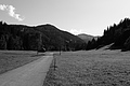 L1001701 - Bernhard Saalfeld