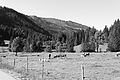 L1001702 - Bernhard Saalfeld