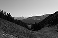 L1001704 - Bernhard Saalfeld