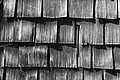 L1001706 - Bernhard Saalfeld