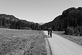 L1001708 - Bernhard Saalfeld