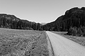 L1001709 - Bernhard Saalfeld