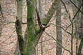 DSC08762 - Bernhard Saalfeld