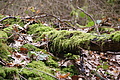 DSC08763 - Bernhard Saalfeld