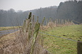 DSC08767 - Bernhard Saalfeld