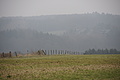DSC08768 - Bernhard Saalfeld
