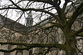 DSC08851 - Bernhard Saalfeld