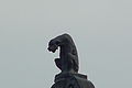 DSC00022 - Bernhard Saalfeld