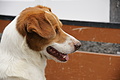DSC03788 - Bernhard Saalfeld
