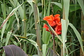 DSC03816 - Bernhard Saalfeld