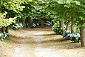 DSC03818 - Bernhard Saalfeld