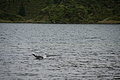 DSC03942 - Bernhard Saalfeld