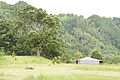 DSC04006 - Bernhard Saalfeld