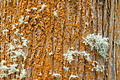 DSC04028 - Bernhard Saalfeld