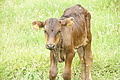 DSC04074 - Bernhard Saalfeld
