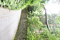 DSC04081 - Bernhard Saalfeld