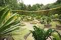 DSC04134 - Bernhard Saalfeld