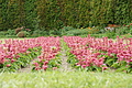 DSC04137 - Bernhard Saalfeld