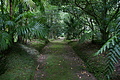 DSC04162 - Bernhard Saalfeld