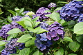 DSC04177 - Bernhard Saalfeld