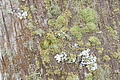 DSC04181 - Bernhard Saalfeld